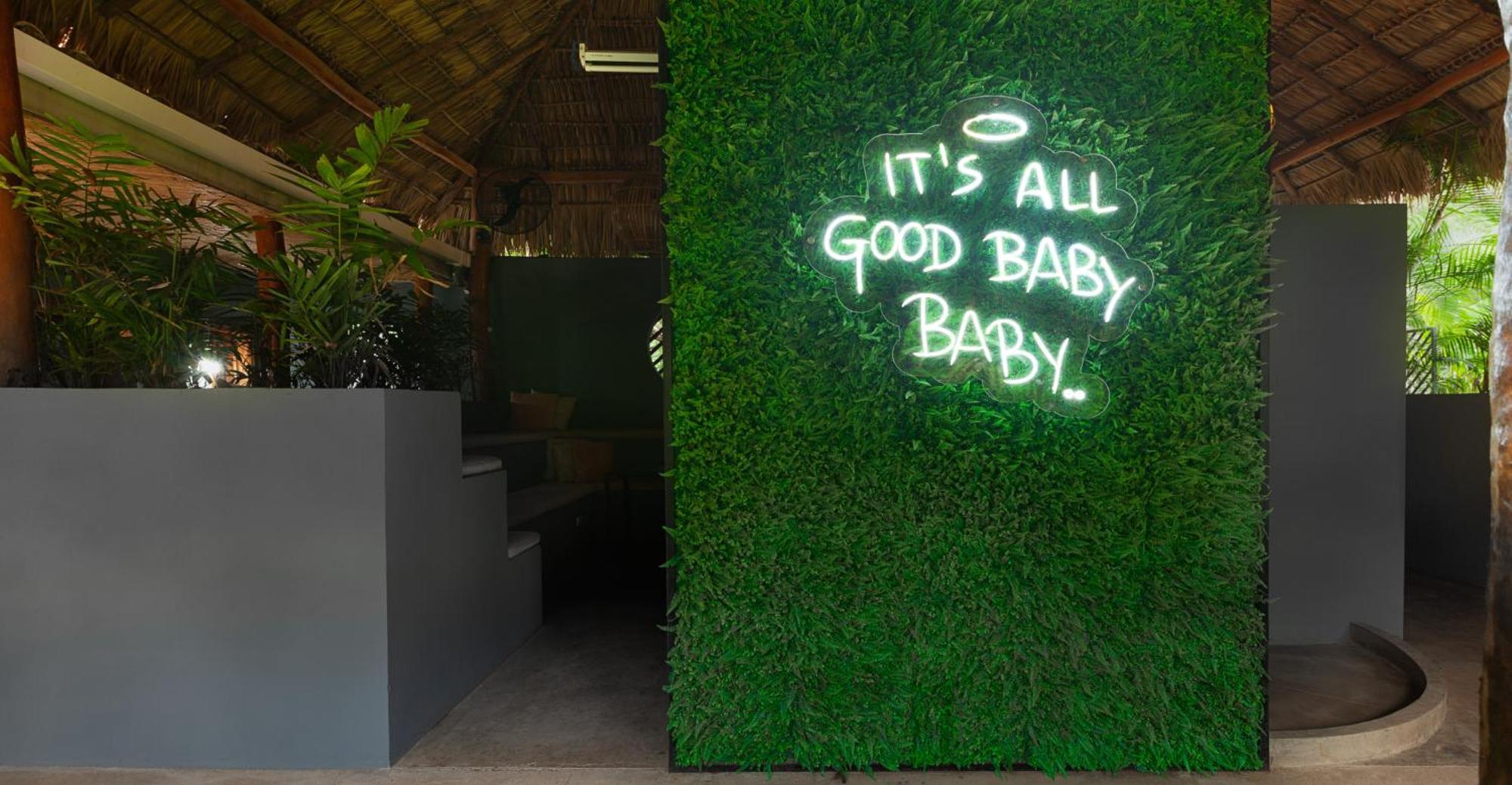 The Space Jungle Oasis Сан Хуан дел Сур Екстериор снимка