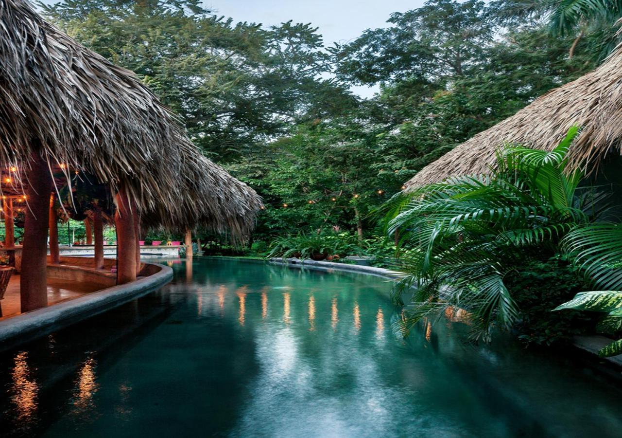 The Space Jungle Oasis Сан Хуан дел Сур Екстериор снимка